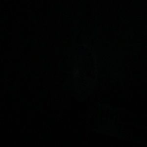 Meet your Posher, Joshua